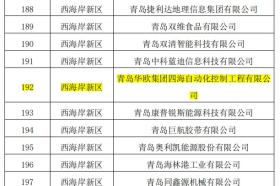 三肖必中特战略方案优化指南_X49.215-图7