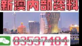 新澳姿料大全正版2024，温和解答，灵敏落实-图7