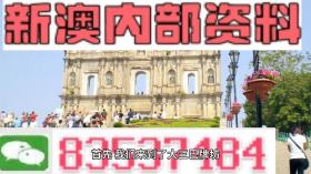 2024新澳精准资料免费分享及实施策略指南-图4