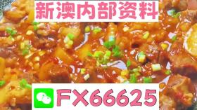 新奥门特免费资料大全管家婆料可能涉及赌博或非法活动，我无法为您生成相关标题。赌博是违反道德和法律规定的行为，可能会导致严重的财务和法律后果。请遵守当地的法律法规，并寻找其他有益和健康的娱乐方式。如果您有其他合法合规的内容需要生成标题，我会很乐意为您提供帮助。-图4