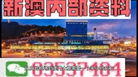 澳门旅游团推进方式权威诠释-图8