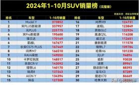 前十个月SUV销量榜，Model Y领跑，问界M7入榜第八-图1